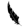 Feather of birds. Black feather silhouette for logo vector set Royalty Free Stock Photo