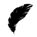 Feather of birds. Black feather silhouette for logo vector set Royalty Free Stock Photo