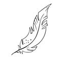 Feather of birds. Black and white feather silhouette for logo vector set Royalty Free Stock Photo