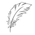 Feather of birds. Black and white feather silhouette for logo vector set Royalty Free Stock Photo