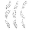 Feather of birds. Black and white feather silhouette for logo vector set Royalty Free Stock Photo