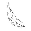 Feather of birds. Black and white feather silhouette for logo vector set Royalty Free Stock Photo