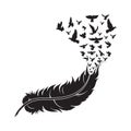 feather with birds. Vector illustration decorative design Royalty Free Stock Photo