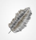 Feather black pen, vector illustration, vitage designe Royalty Free Stock Photo