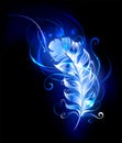 Feather of blue fire on black background Royalty Free Stock Photo