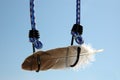 Feather and bungee cord Royalty Free Stock Photo