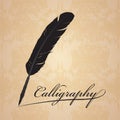 Feather calligraphic pen on old paper vintage vector design Royalty Free Stock Photo