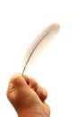 Feather in child hand Royalty Free Stock Photo