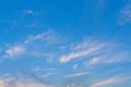 Feather clouds in a bright blue sky, pine colors Royalty Free Stock Photo