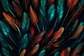 Feather color texture as very nice abstract.