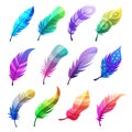 Feather colored. Stylized decorative tribal ornaments on feathers of birds vector illustrations set Royalty Free Stock Photo