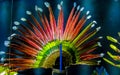 Feather crown of native american indians