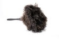 Feather duster Royalty Free Stock Photo