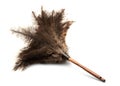 Feather Duster Royalty Free Stock Photo