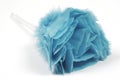 Feather duster Royalty Free Stock Photo