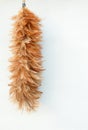 Feather duster on cement background Royalty Free Stock Photo