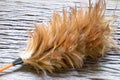 Feather duster Royalty Free Stock Photo