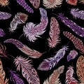 Feather embroidery. Exotic feathers print, birds fashion ethnic elements. Beauty decorative plumage, stitch tapestry