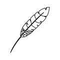 Feather exotic isolated icon Royalty Free Stock Photo