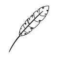 Feather exotic isolated icon Royalty Free Stock Photo