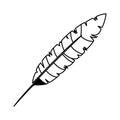 Feather exotic isolated icon Royalty Free Stock Photo