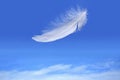 Feather falling from blue sky