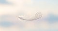 Feather Floating Lightness, Purity, Softness, and Dream Royalty Free Stock Photo