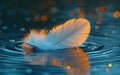 A feather is floating on the surface of a body of water. The feather is white and has a few droplets of water on it Royalty Free Stock Photo