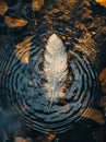 Feather floating on water with ripples and droplets Royalty Free Stock Photo