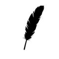 Feather florish vector illustration