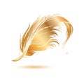 Golden bird feather icon