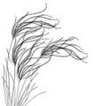 Vector corner bouquet of outline Stipa or steppe Feather grass with leaf in black isolated on white background. Royalty Free Stock Photo