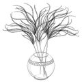 Vector bouquet of outline Stipa or Feather grass in ornate round vase in black isolated on white background. Royalty Free Stock Photo