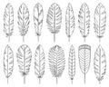 Feather quill tribal hand drawn line vector set