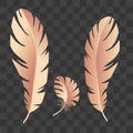 Feather icon. Illustration of feather. Feather pen silhouette. Feather writing .Logo Template vector illustration. Eps 10 Royalty Free Stock Photo