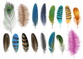 Feather icon set, realistic style Royalty Free Stock Photo