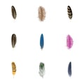 Feather icon set, realistic style Royalty Free Stock Photo