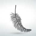 Feather icon vector design isolated vector on a white background