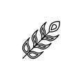Feather icon vector design template Royalty Free Stock Photo