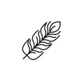 Feather icon vector design template Royalty Free Stock Photo