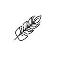Feather icon vector design template Royalty Free Stock Photo
