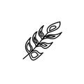 Feather icon vector design template Royalty Free Stock Photo