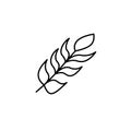 Feather icon vector design template Royalty Free Stock Photo