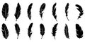 Feather icons. Set of black feather icons isolated. Feather silhouettes