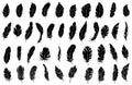 Feather icons silhouettes. Set of different black feather icons isolated.