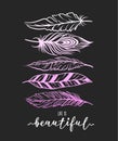 Feather illustration for t-shirt prin with lettering Royalty Free Stock Photo