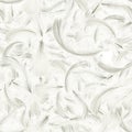 Feather isolated. Abstract bird feather texture closeup falling on white background in seamless pattern photography. Concept of