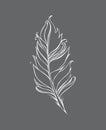 Feather isolated on gray background. Vector illustration. White Lined drawing