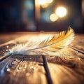 A feather is laying on a wooden surface with drops of water on the floor and a blurry background of the floor Royalty Free Stock Photo