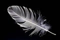 feather and leaf combination photogram a feather and leaf overla Royalty Free Stock Photo
